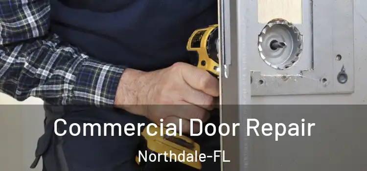  Commercial Door Repair Northdale-FL