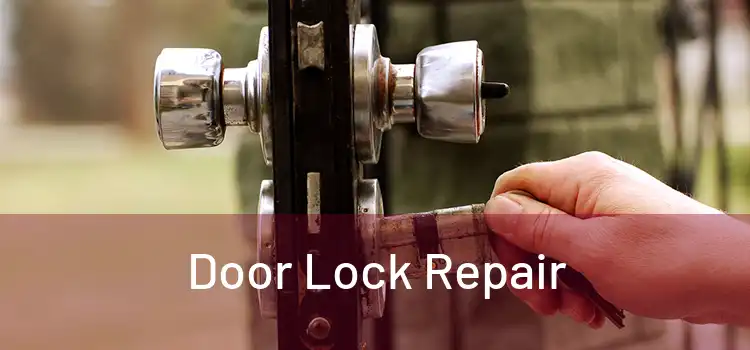  Door Lock Repair 