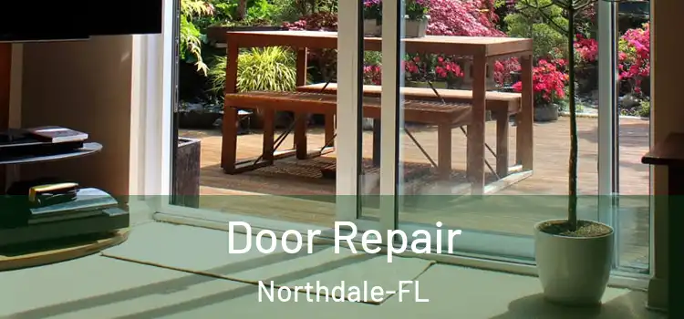  Door Repair Northdale-FL