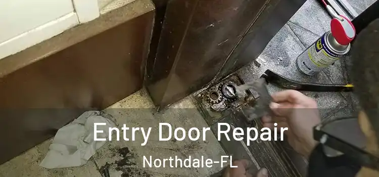  Entry Door Repair Northdale-FL