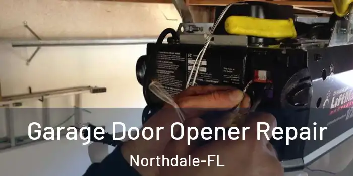  Garage Door Opener Repair Northdale-FL