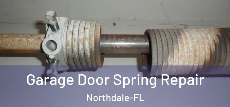  Garage Door Spring Repair Northdale-FL