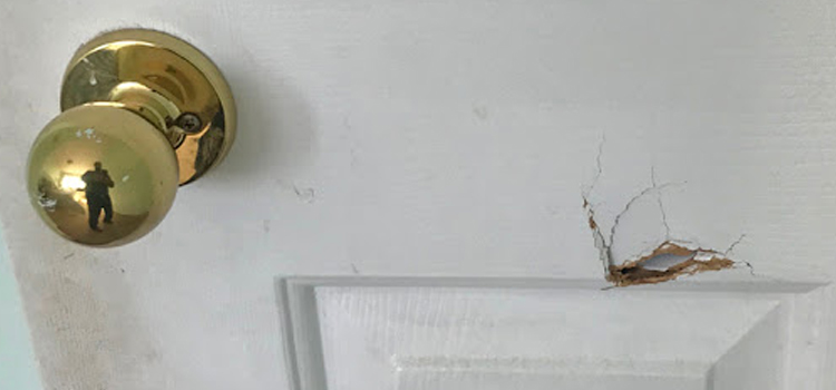 interior door hole repair Northdale