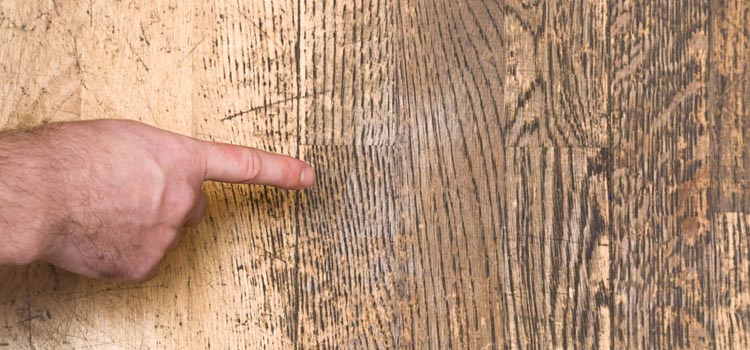 Wood Door Scratch Repair in Northdale