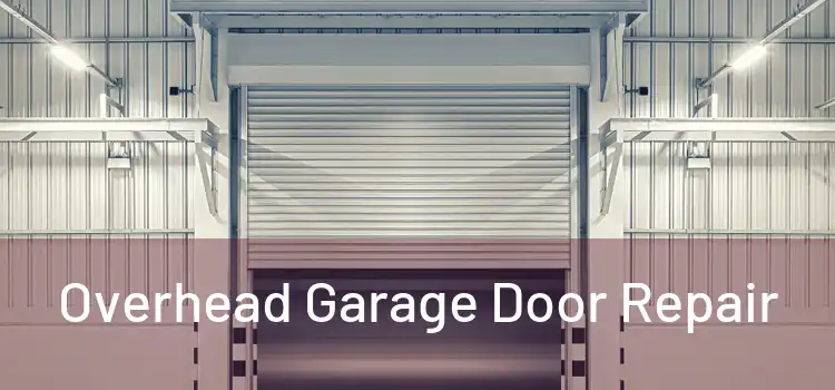  Overhead Garage Door Repair 