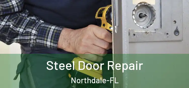  Steel Door Repair Northdale-FL